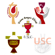 Logo USC2020.png