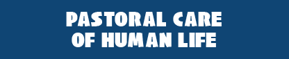 WEBINAR 2024