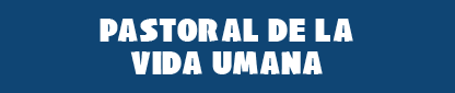 WEBINAR 2024