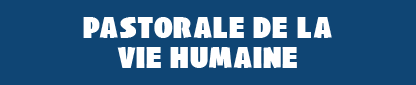 WEBINAR 2024